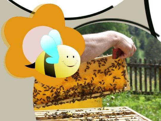 Manifestazione in occasione della Giornata mondiale delle api